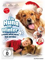 Poster der Ein Hund im Winter