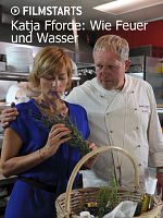 Poster der Katie Fforde: Wie Feuer und Wasser
