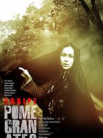 Poster der Anar-Haye Na-Ras