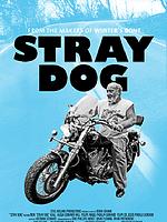 Poster der Stray Dog