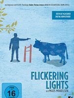 Poster der Flickering Lights
