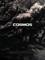 Poster der Cosmos