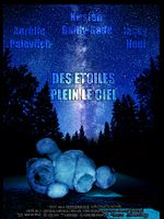 Poster der Des étoiles plein le ciel