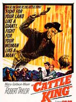 Poster der Revolverhelden von Wyoming