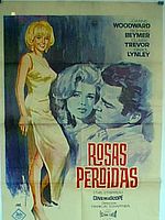 Poster der Die verlorene Rose