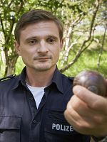 Poster der Friesland: Klootschießen