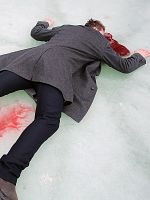 Poster der Der Tote am Teich