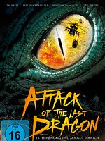 Poster der Attack Of The Last Dragon