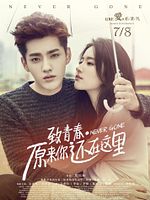 Poster der Never Gone
