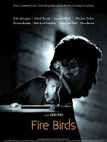 Poster der Fire Birds