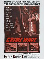 Poster der Von der Polizei gehetzt