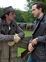 Poster der Die Büffel sind los!