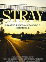 Poster der Stray