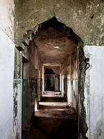 Poster der Holocausto Brasileiro