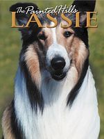 Poster der Lassie und die Goldgräber