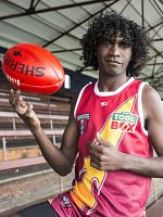 Bild von The Warriors