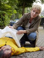 Poster der Marie Brand und das ewige Wettrennen