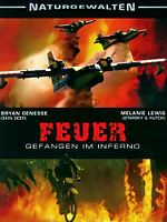 Poster der Feuer - Gefangen im Inferno