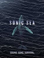 Poster der Sonic Sea