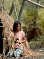 Poster der Auf der Suche nach dem Land ohne Böses