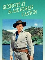 Poster der Gunfight at Black Horse Canyon
