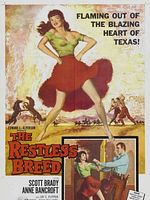 Poster der Ein Kerl wie Dynamit