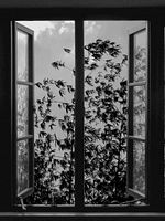 Poster der 24 Frames