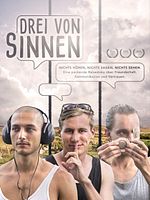 Poster der Drei von Sinnen