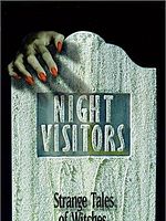 Poster der Night Visitors