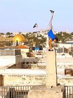 Poster der Derrière les fronts: résistances et résiliences en Palestine