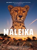Poster der Maleika