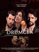 Poster der Örümcek