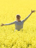 Poster der Inga Lindström: Das Postboot in den Schären