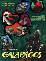 Poster der Galapagos - Trauminsel im Pazifik