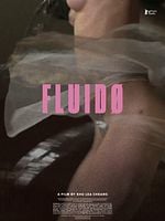 Poster der Fluidø