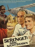 Poster der Serengeti darf nicht sterben