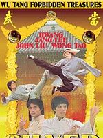 Poster der Die Zwillingsbrüder von Bruce Lee