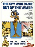 Poster der Spion in Spitzenhöschen