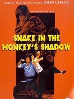 Poster der 2 tödliche Fäuste im Schatten der Schlange