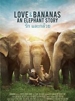 Poster der Love & Bananas