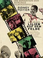 Poster der Lilien auf dem Felde