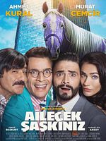 Poster der Ailecek Şaşkınız
