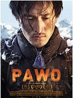 Poster der Pawo