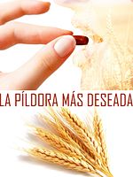 Poster der La píldora más deseada