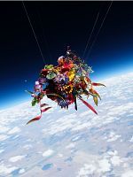 Poster der Deep Flowers