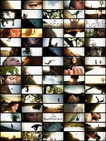 Poster der Les Ephémères fugitifs