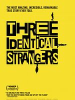 Poster der Three Identical Strangers