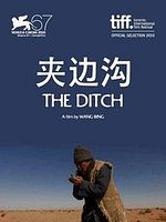 Poster der Das Erdloch