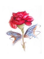 Poster der Sublime Cor do Teu Silêncio