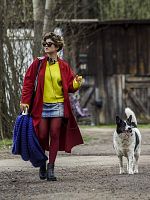 Poster der Crystal Swan